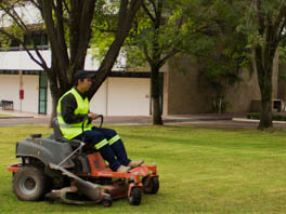 Mantenimiento industrial de jardines